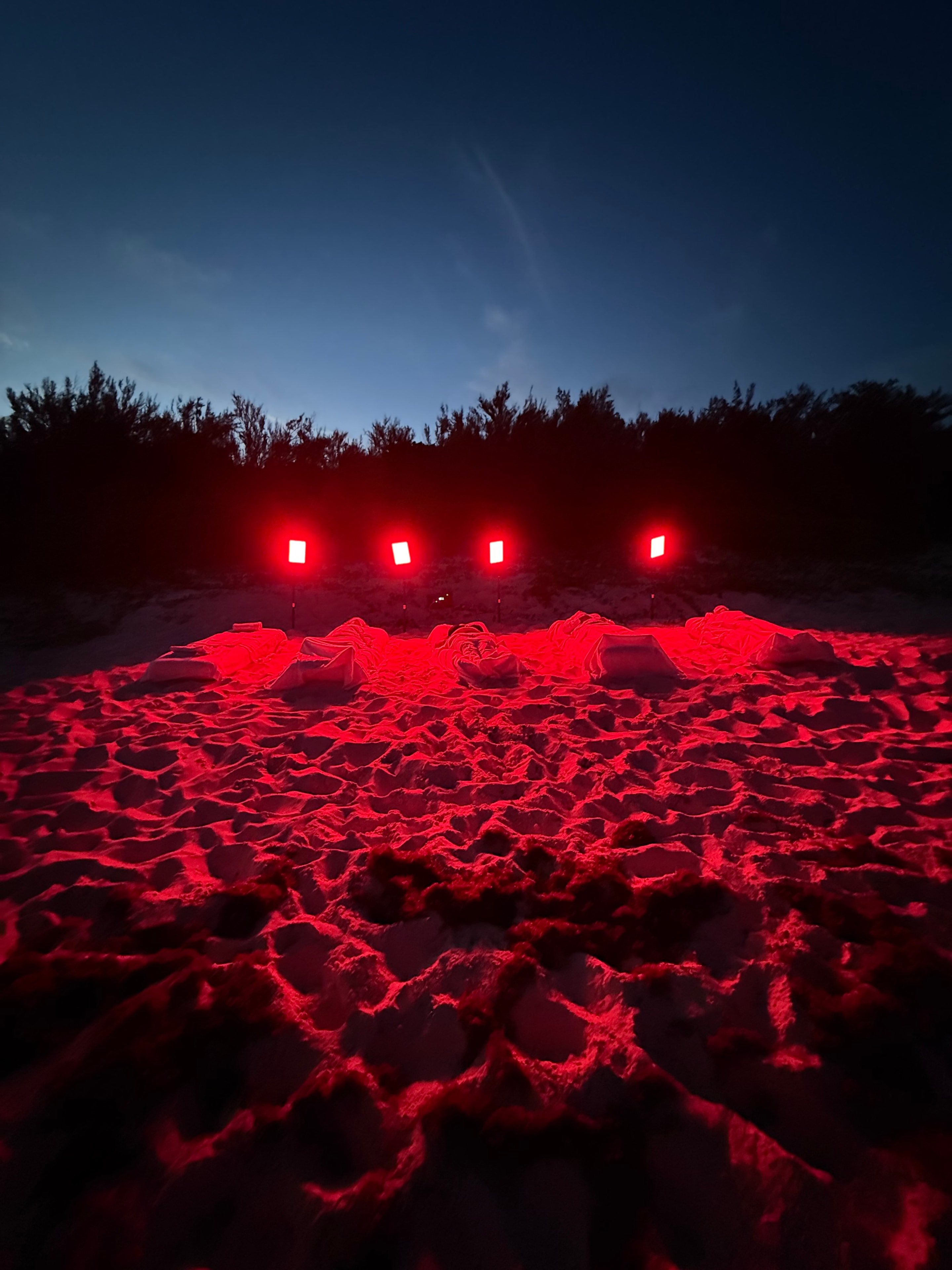 SIRÈNE CLUB experience — Bermuda